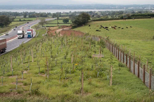 KFS Motorway Fencing Featured Image