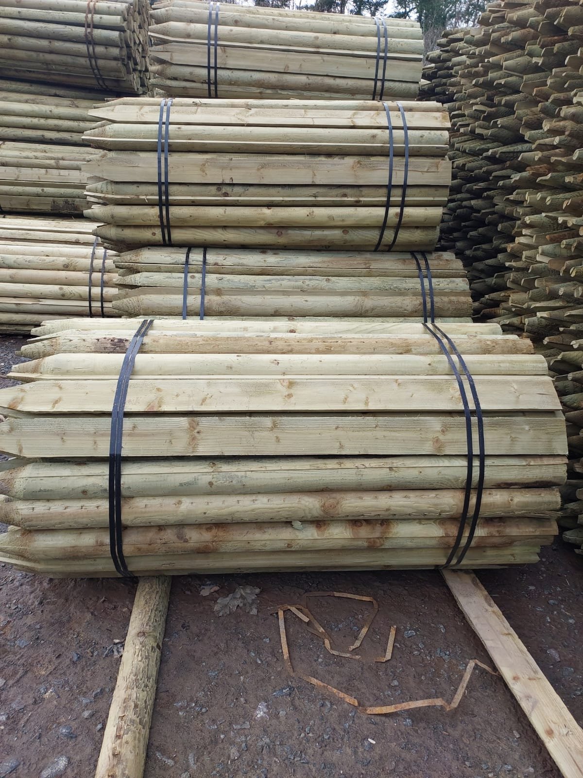 1.8m Agricultural 115mm Split Treated Posts Featured Image